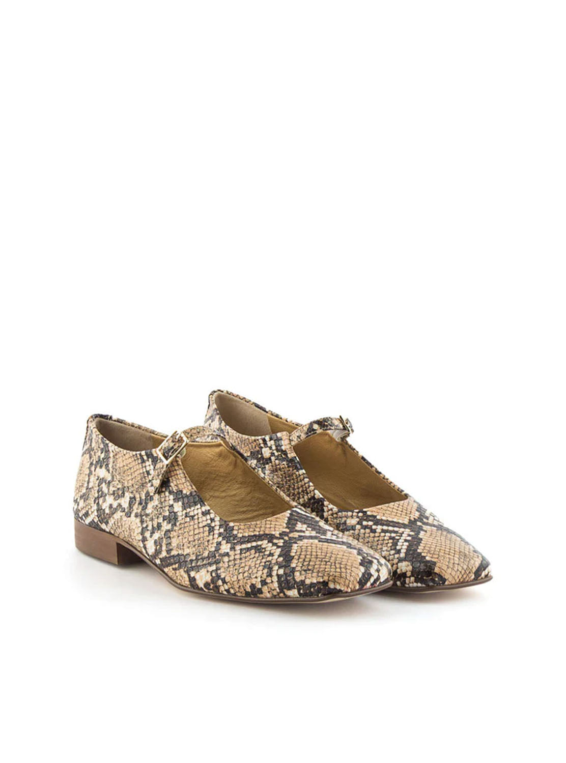 Bailarina animal print