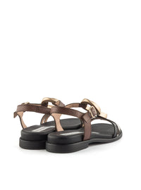 HISP CHV264765 VACA-2