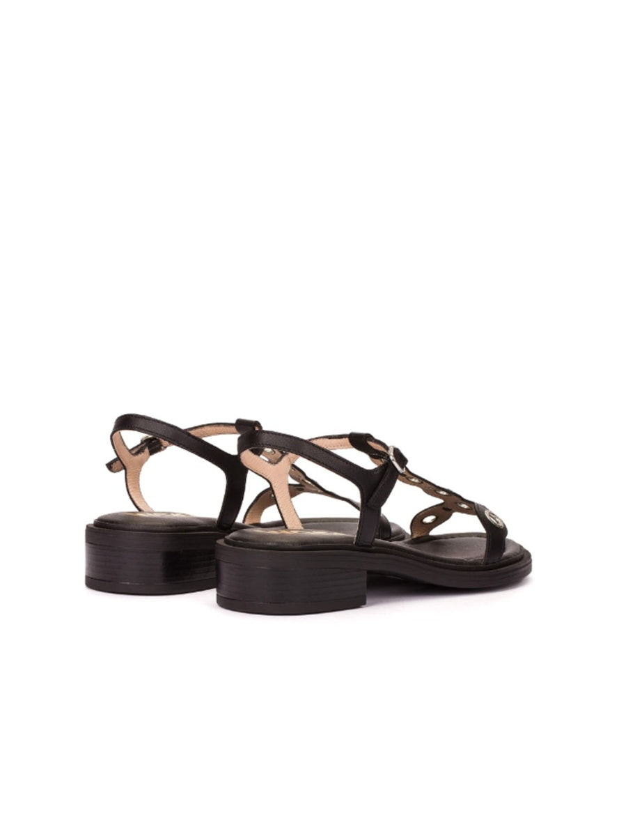 WND B-9613 NEGRO-2