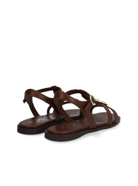 ALPE 5594 17 04 MARRON -2