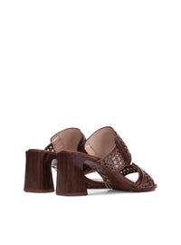 HISP RHV264747 C003 MARRON-2