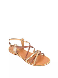 LTROP HARRY C023233 MARRON ORO -1