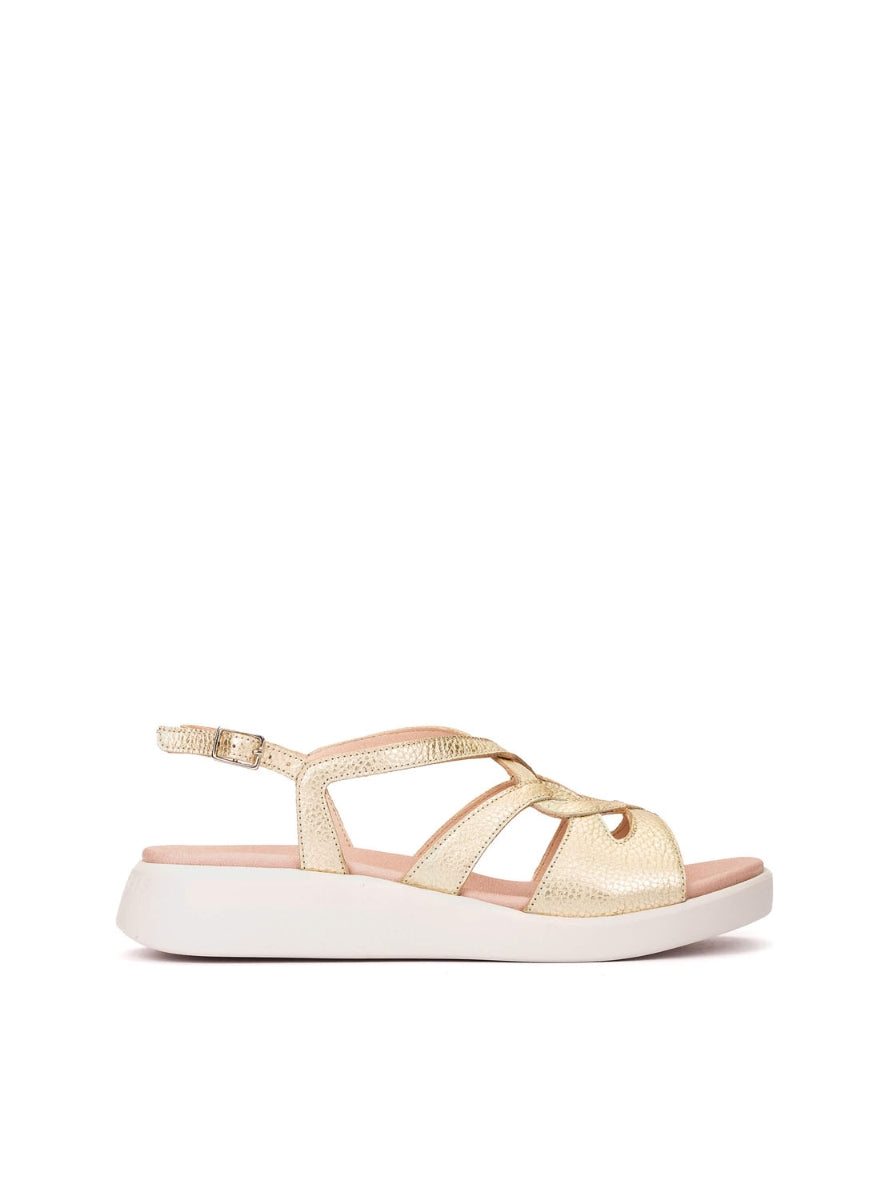 WND C-6550 PLATINO -0