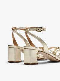 PEDRO 18115 PLATINO -2