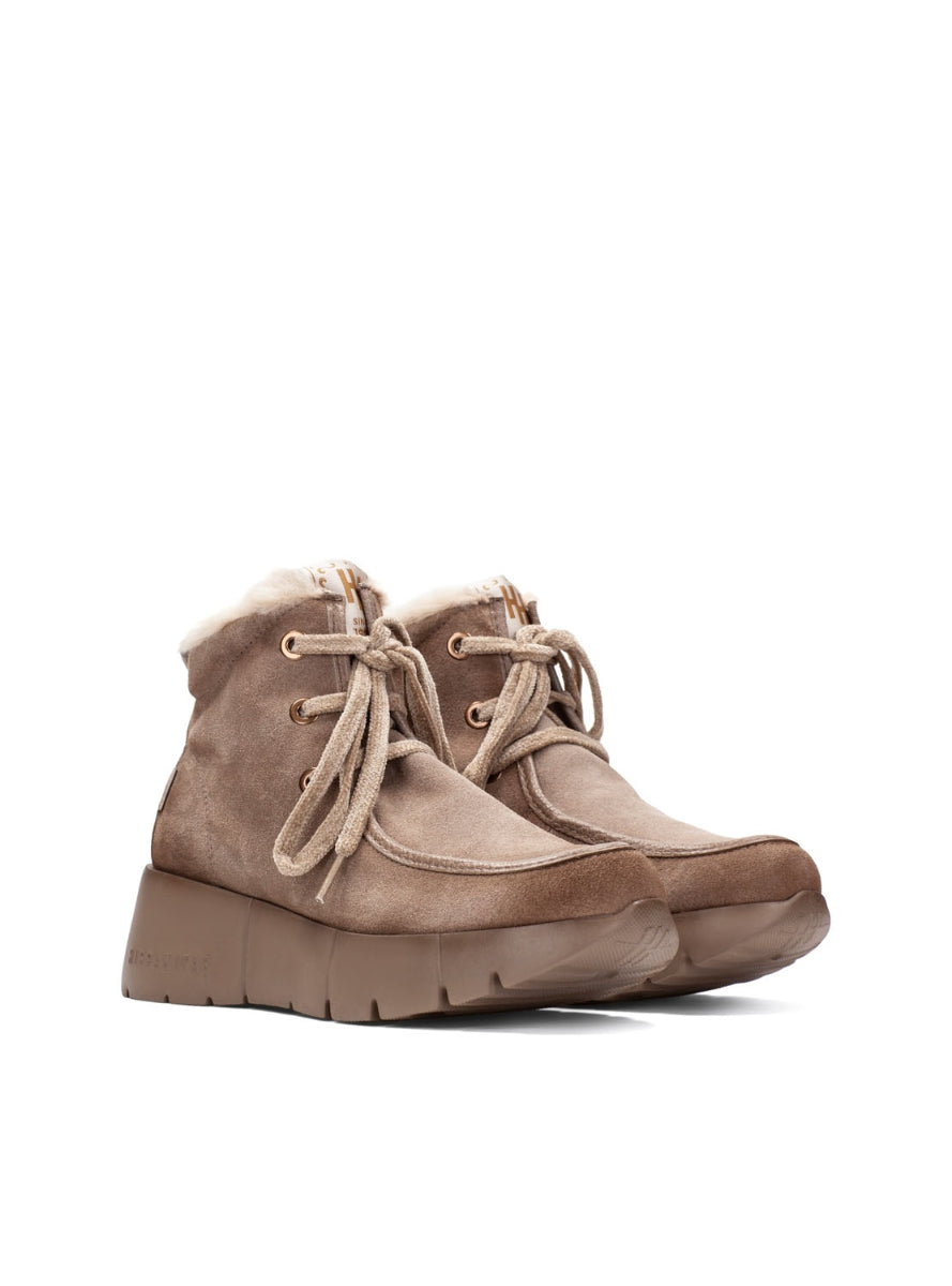 HISP PHI265130 TAUPE -1