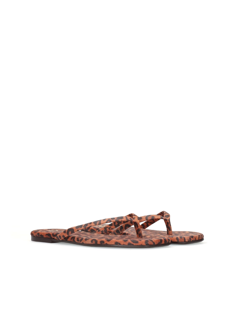 1166 YACARE 7700367 LEOPARDO -1