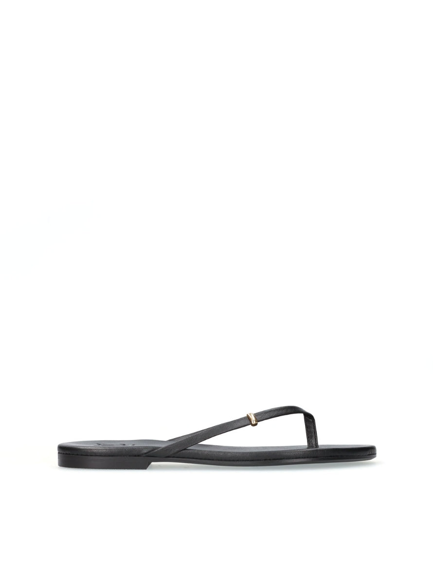 1166 YACARE 8052589 NEGRO -0