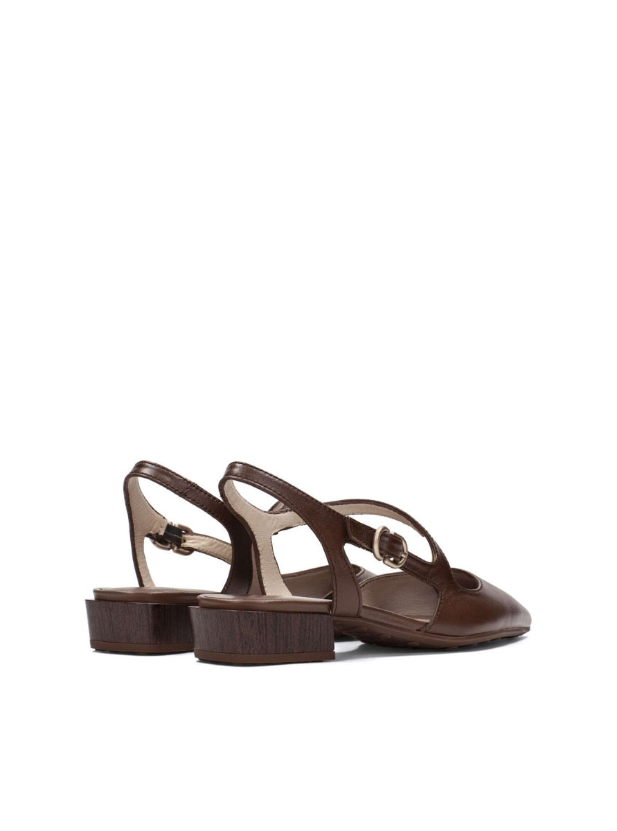 HISP HV264773 C001 MARRON-2