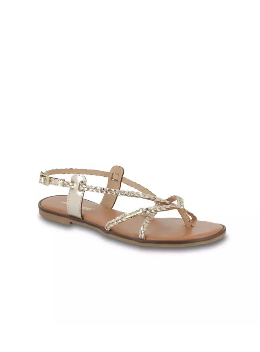 LTROP HALFONZO C330686 ORO -1