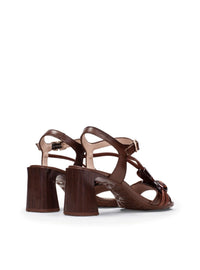 HISP HV264635 MARRON-2