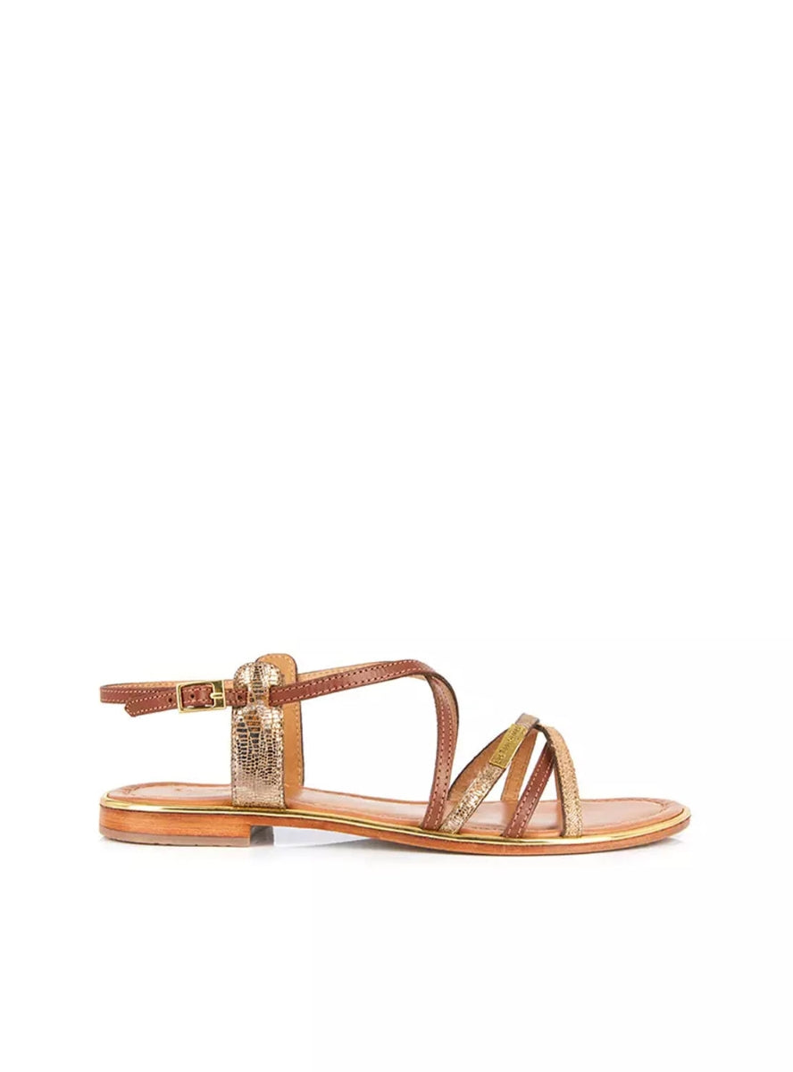 LTROP HARRY C023233 MARRON ORO -0