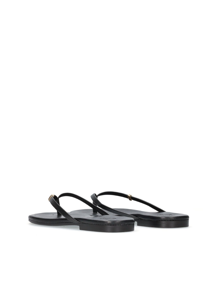 1166 YACARE 8052589 NEGRO -2