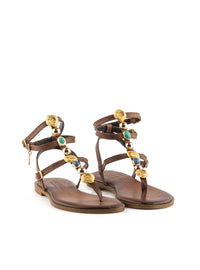 CARIATYS621031 BROWN -1