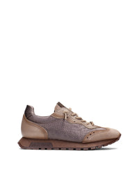 HISP HI264955 TOPO -0