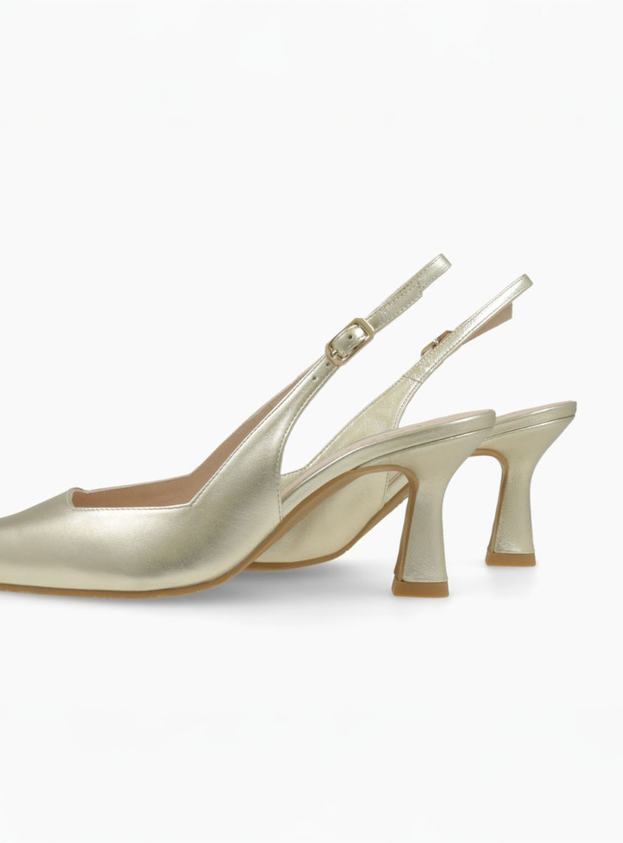 LODI GELINES-X CAVA-2