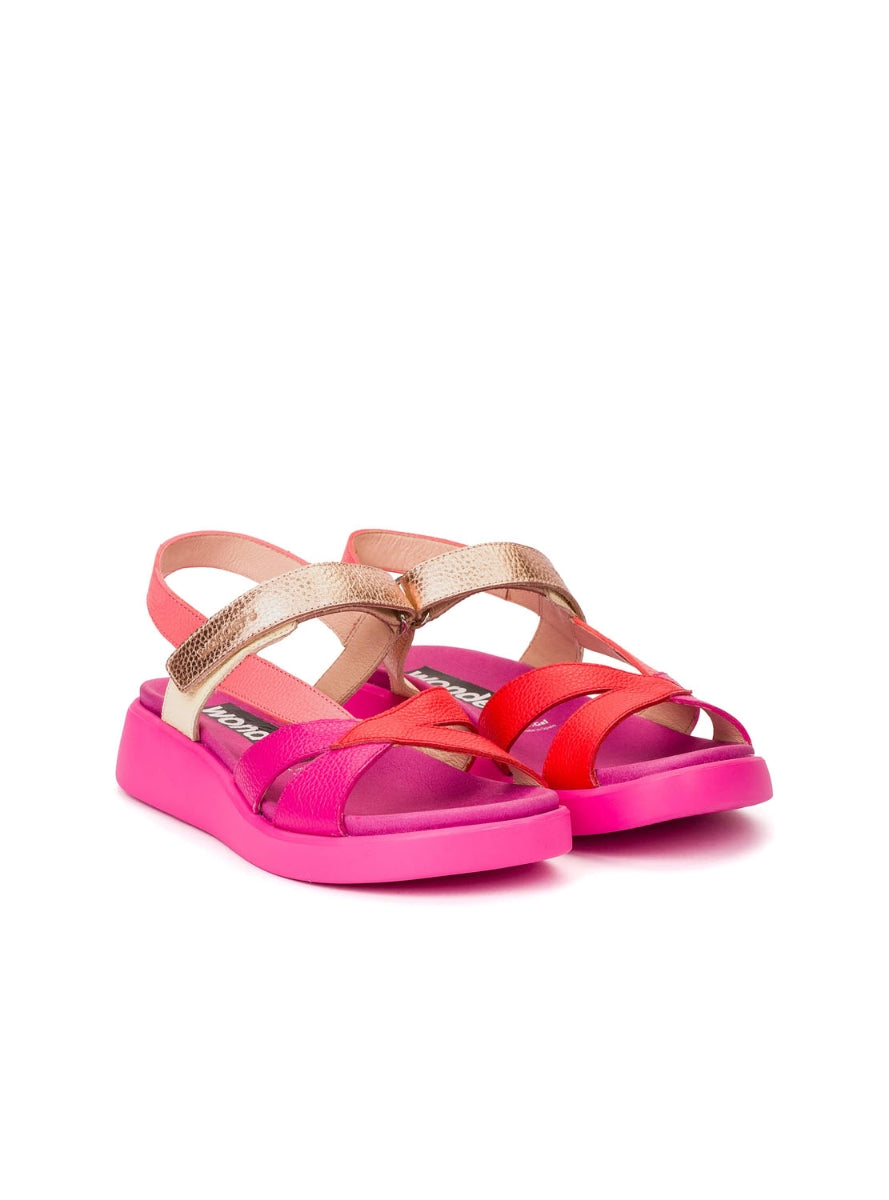 WND C-6552 FUXIA ORO -1