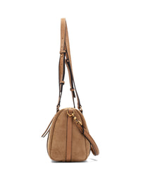 HISP BI264936 HONEY-3