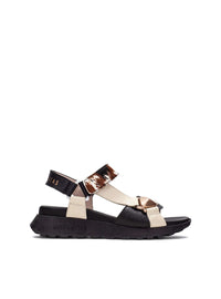 HISP CHV264807 VACA-0