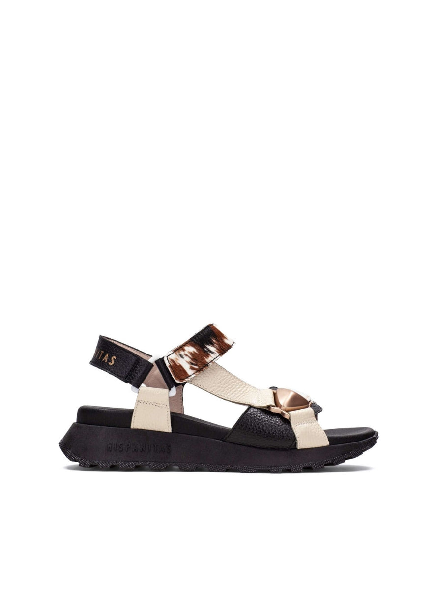 HISP CHV264807 VACA-0