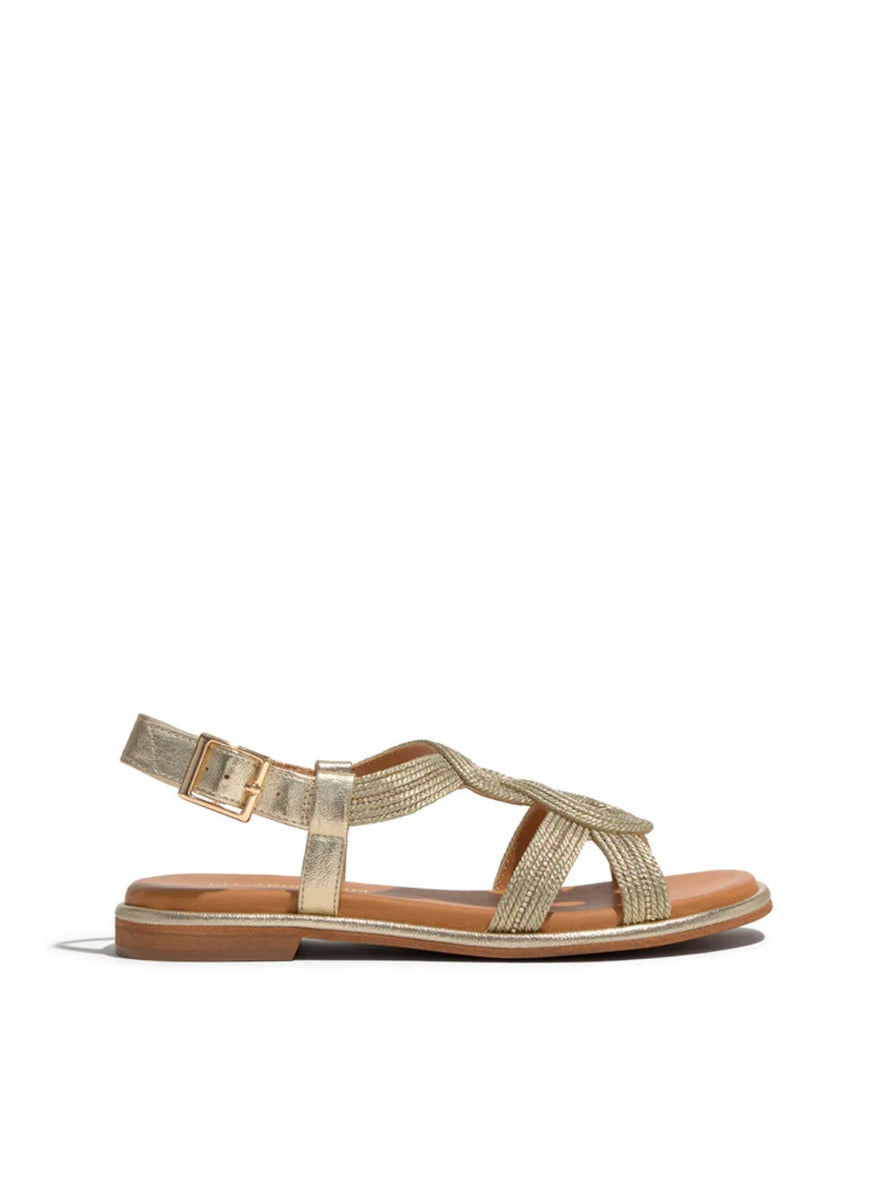 REGARDE ELMA-08 ORO-0