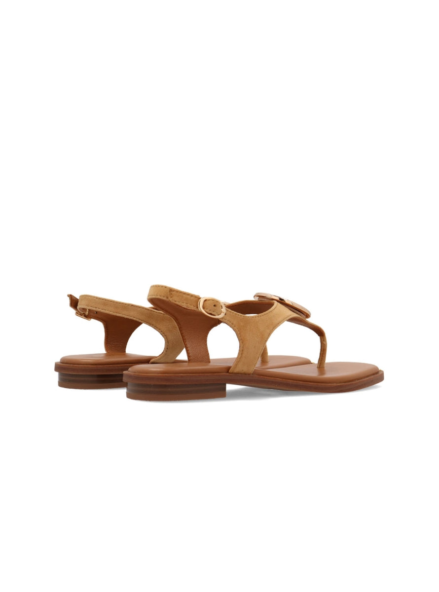 NOA 10265P-10 TAUPE -2