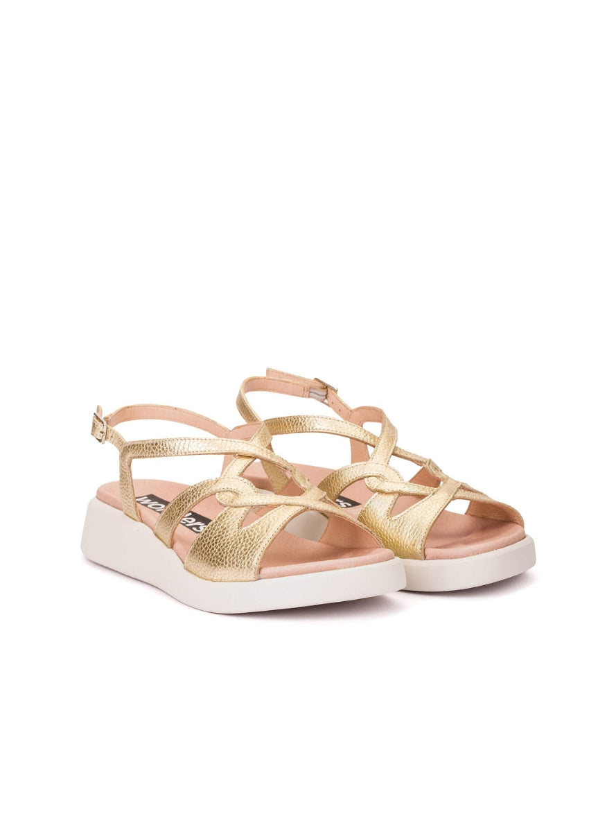 WND C-6550 PLATINO -1