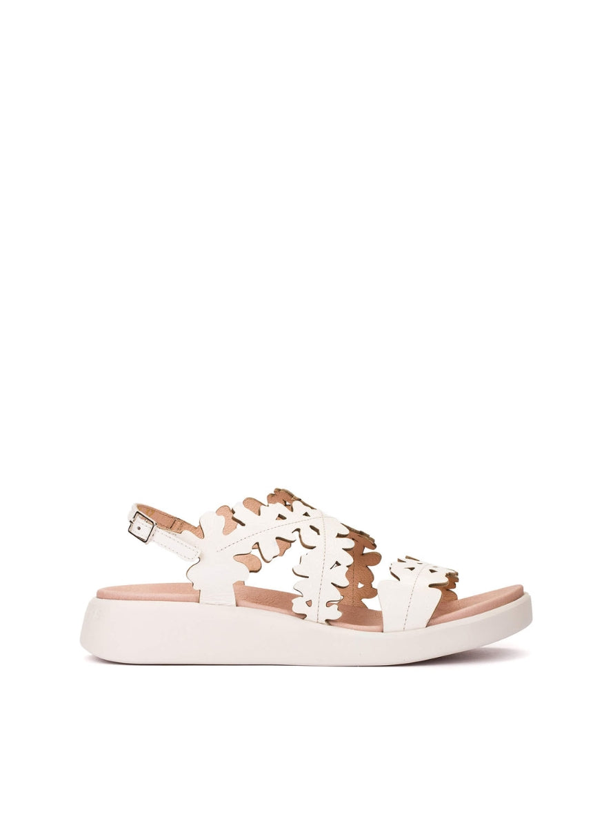 WND C-6551 BLANCO -0
