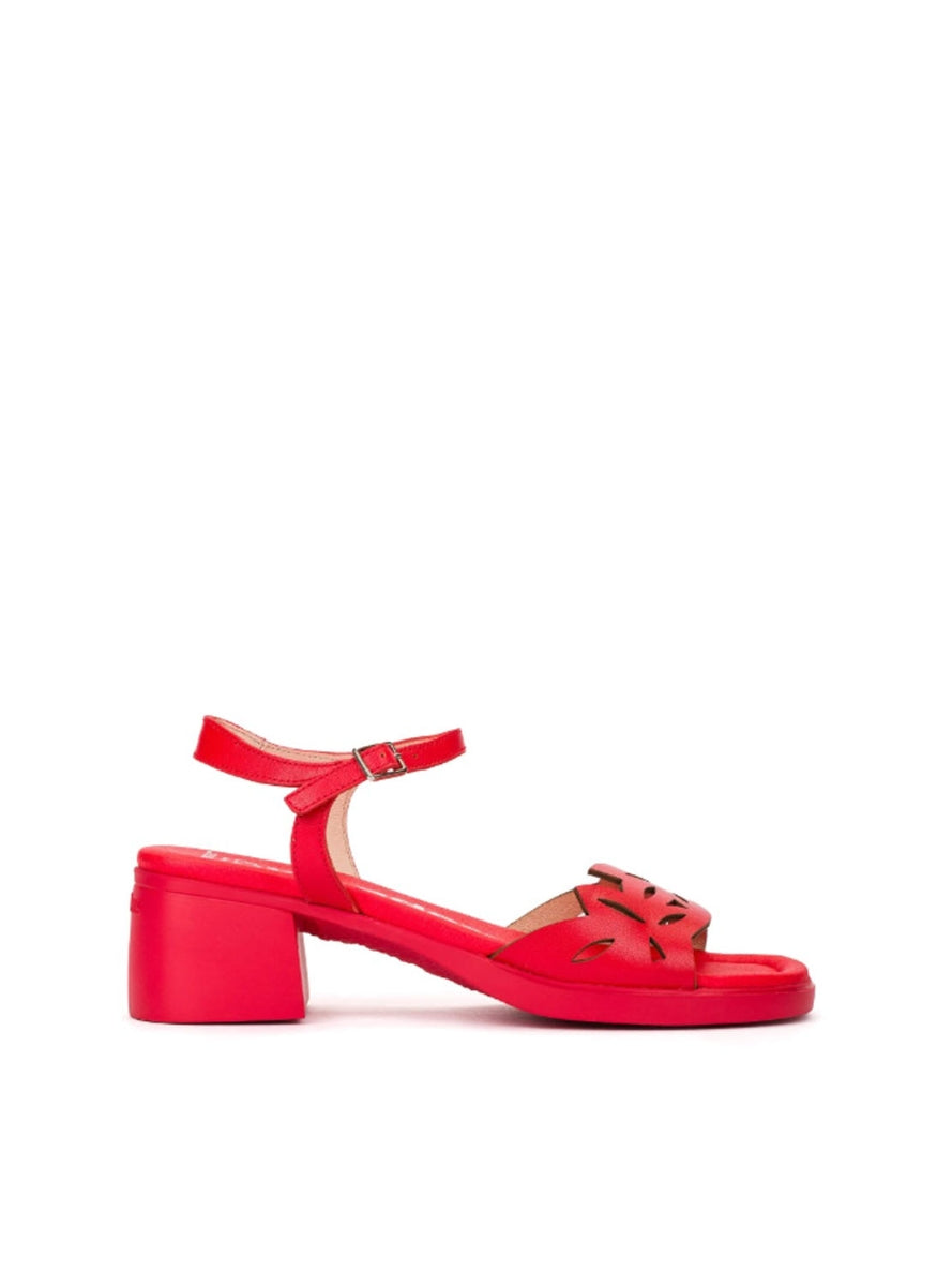 WND D-2301 ROJO -0