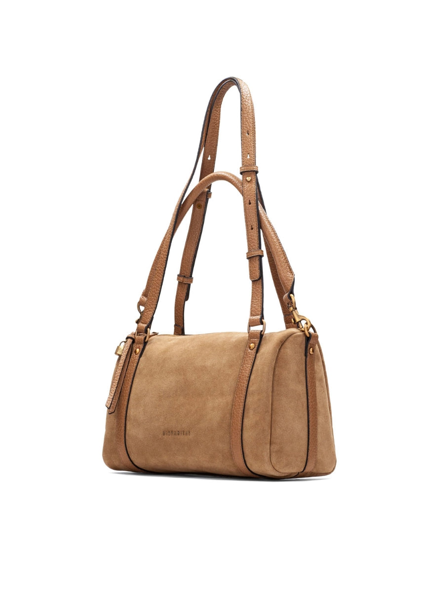 HISP BI264936 HONEY-1