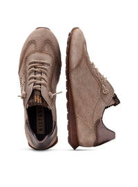 HISP HI264964 TOPO -3