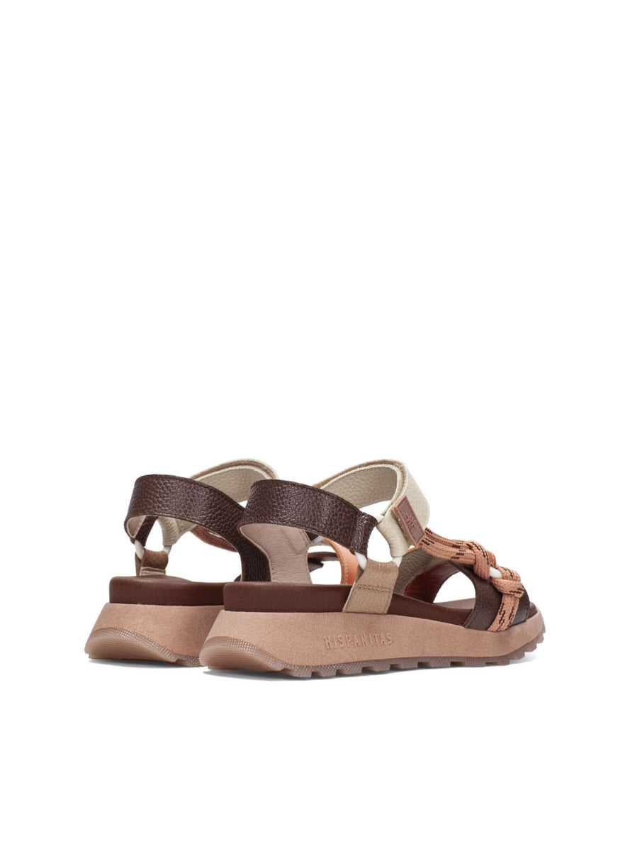 HISP CHV264869 MARRON CORAL-2