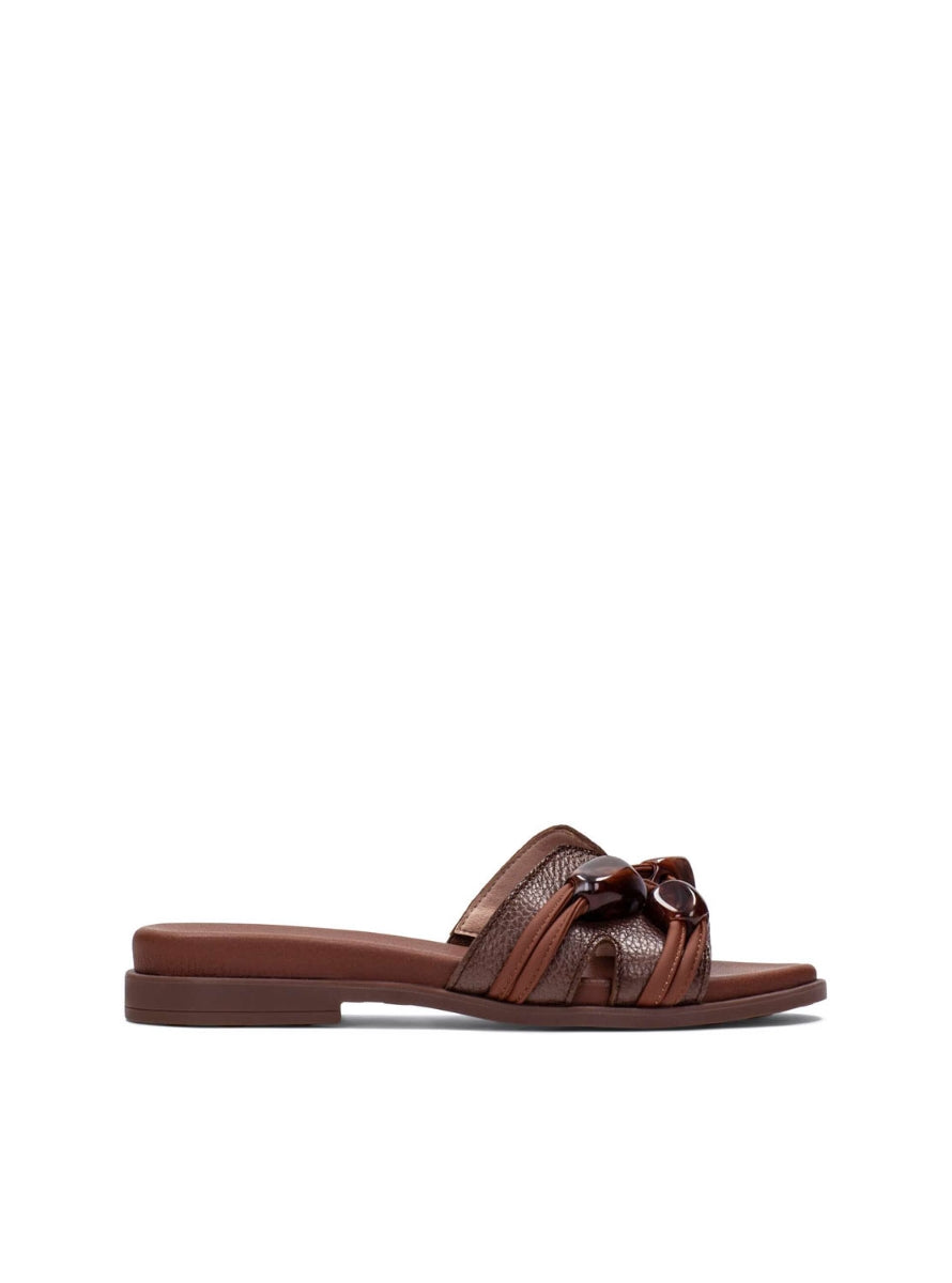 HISP HV264683 C001 MARRON-0