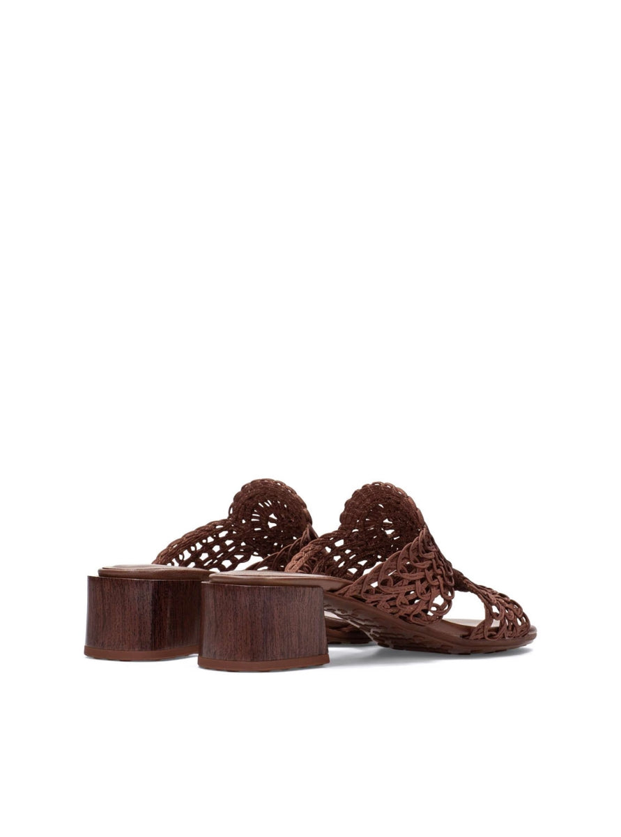 HISP HV264602 MARRON-2