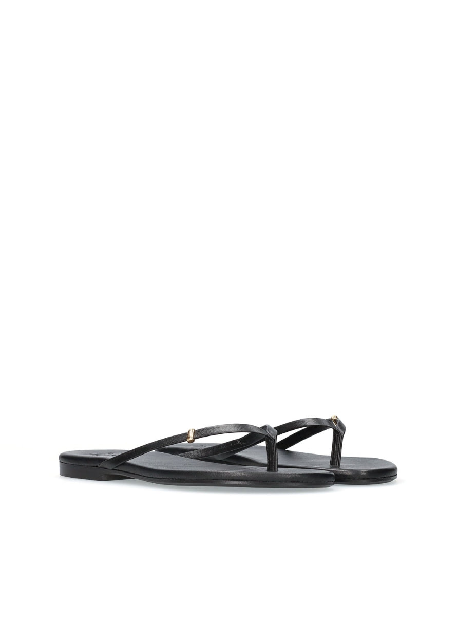 1166 YACARE 8052589 NEGRO -1