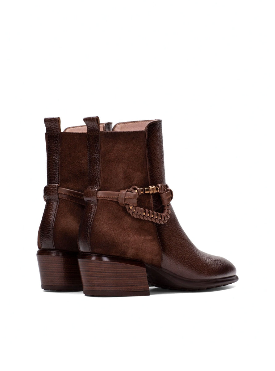 HISP PHI254297 C002 AVELLANA -2