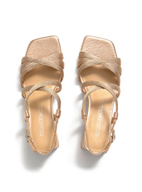 REGARDE AMALIA-08 ROSE-1