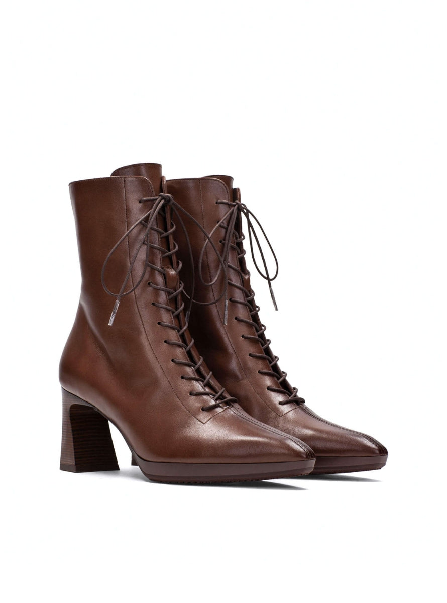 HISP HI254379 C002 AVELLANA -2