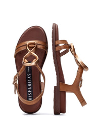 HISP HV264765 CUERO-3