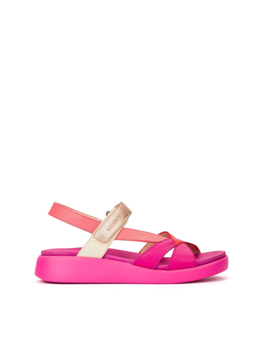 WND C-6552 FUXIA ORO -0