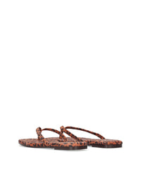 1166 YACARE 7700367 LEOPARDO -2