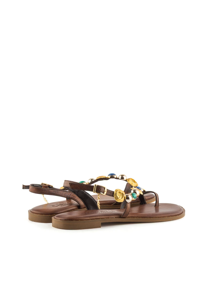 CARIATYS 621631 BROWN -2
