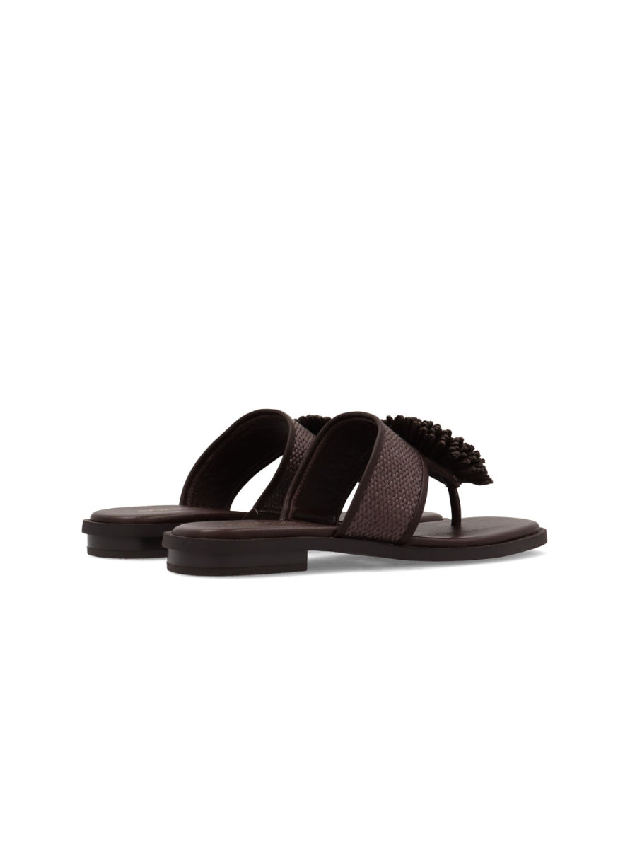 NOA 10254-55 MARRON -2