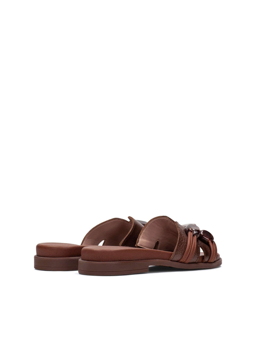 HISP HV264683 C001 MARRON-2