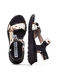 HISP CHV264807 VACA-3