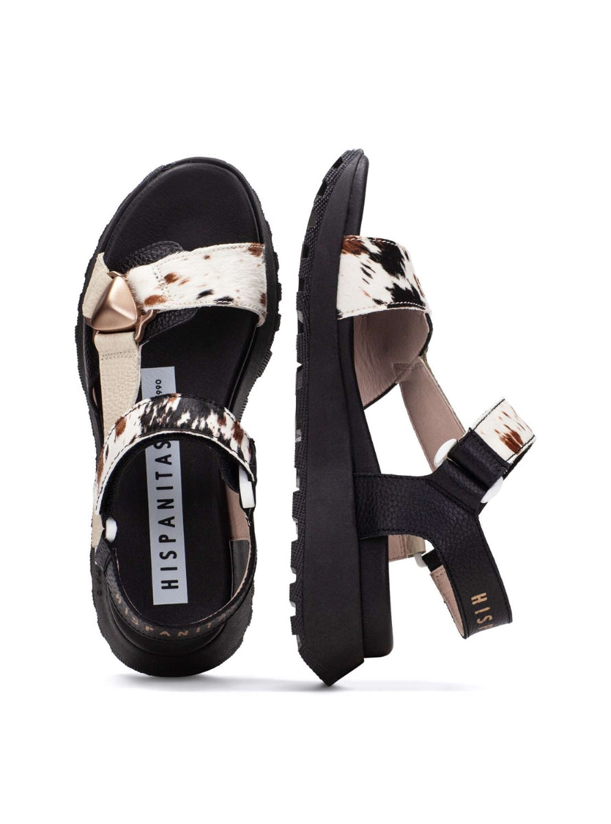 HISP CHV264807 VACA-3