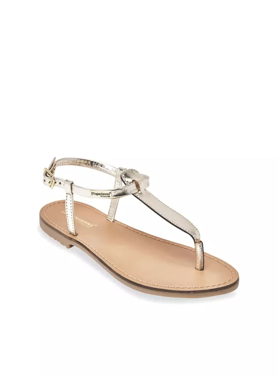 LTROP HARVIL C063467  ORO -2