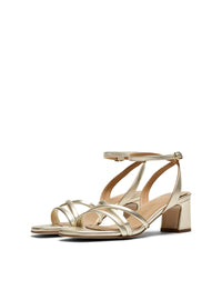 PEDRO 18115 PLATINO -1