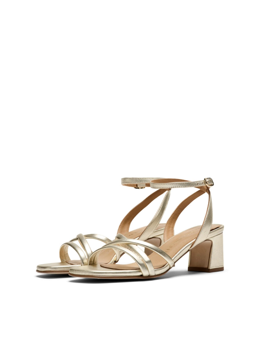 PEDRO 18115 PLATINO -1