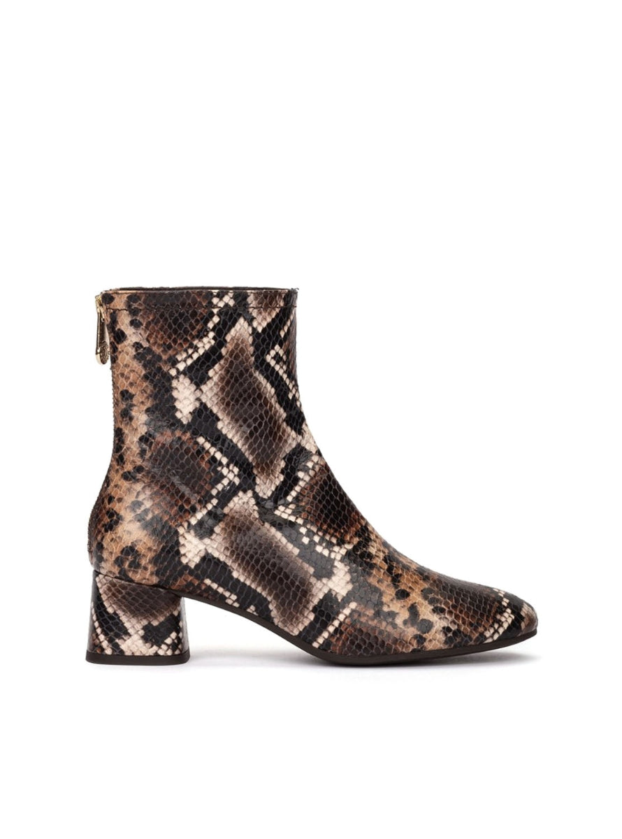 PEDRO 29262 TESTA -0