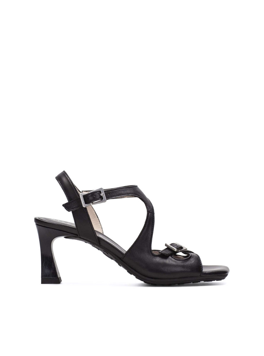 HISP HV264814 C002 NEGRO-0